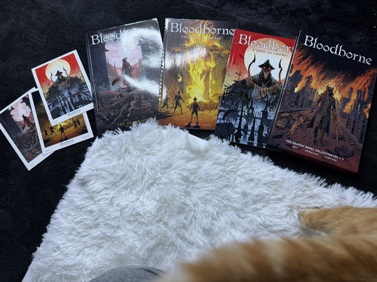 finalrinaz's tweet image. oh my cat also approves my bloodborne collection 👀