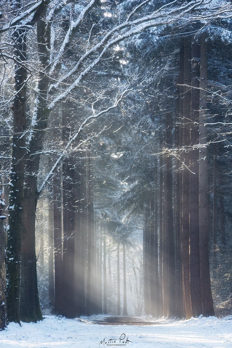 Good morning a very nice weekend for all  🤍
The winter portal📷© Martin Podt Photography