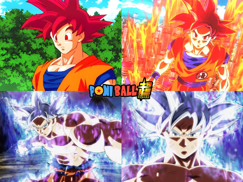 Simplemente DB tweet media