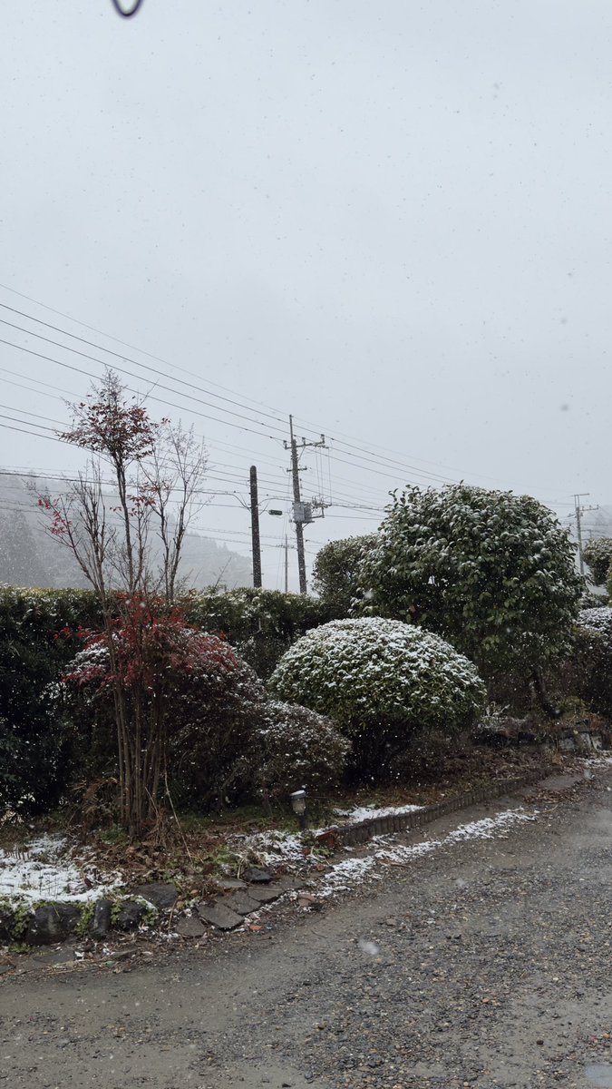 RabitoLabo's tweet photo. 寒いと思ったら雪降ってた☃️
#雪 https://t.co/o3xLd978mO