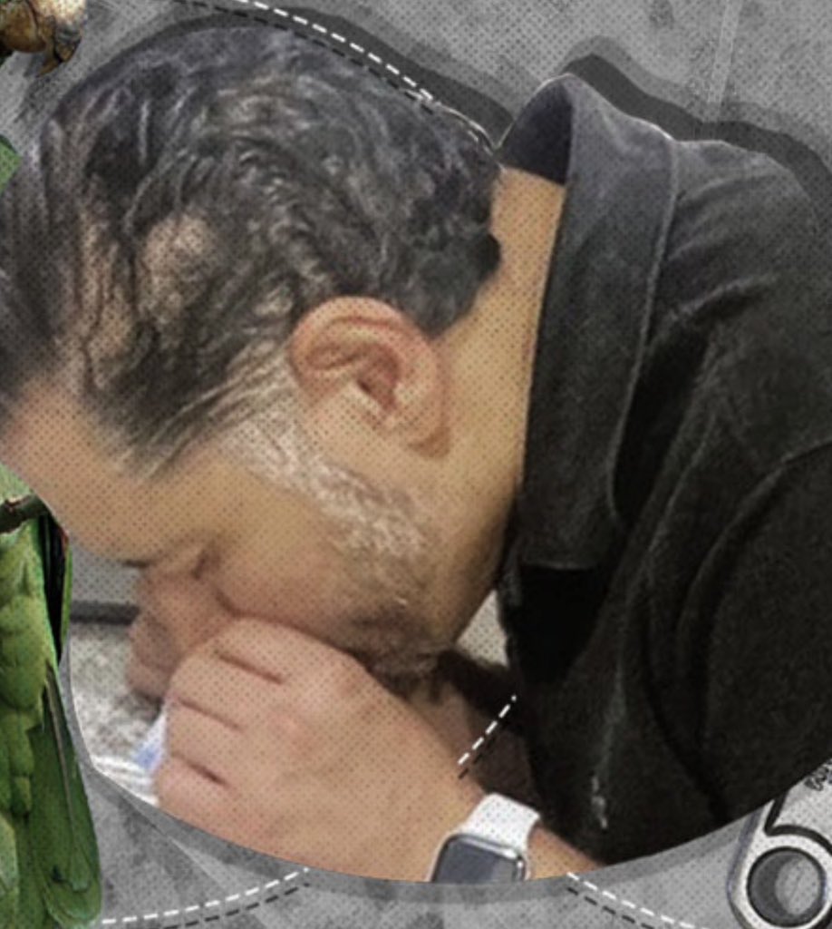 Yo sé qué le faltó a tu bonita caricatura, Hugo…

🦜🦜🦜🦜