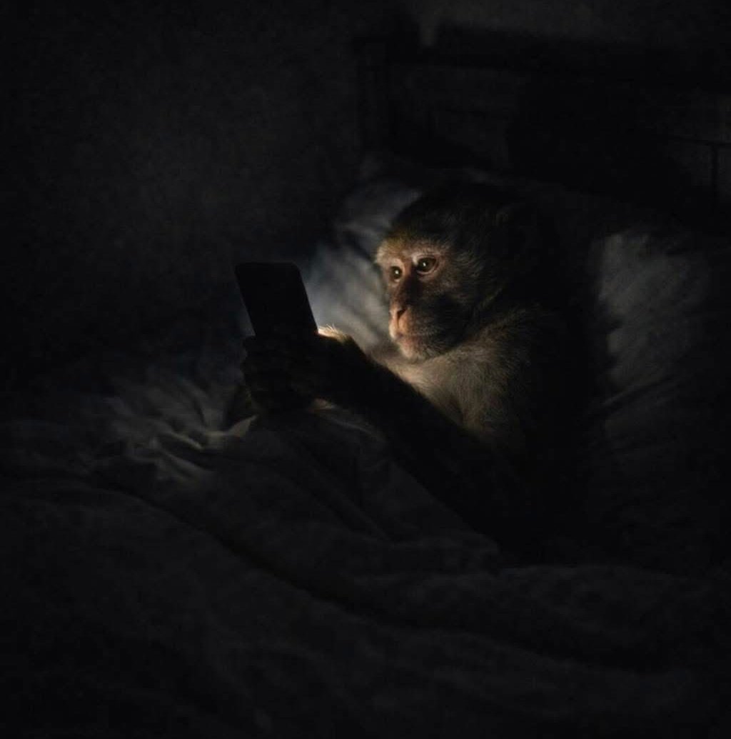 Marie🧚 tweet media