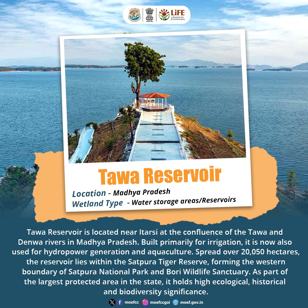 moefcc's tweet image. Tawa Reservoir, a water storage Ramsar Site in Madhya Pradesh, is located near Itarsi at the confluence of the Tawa and Denwa rivers and was built primarily for irrigation.

#Wetlands #RamsarSite