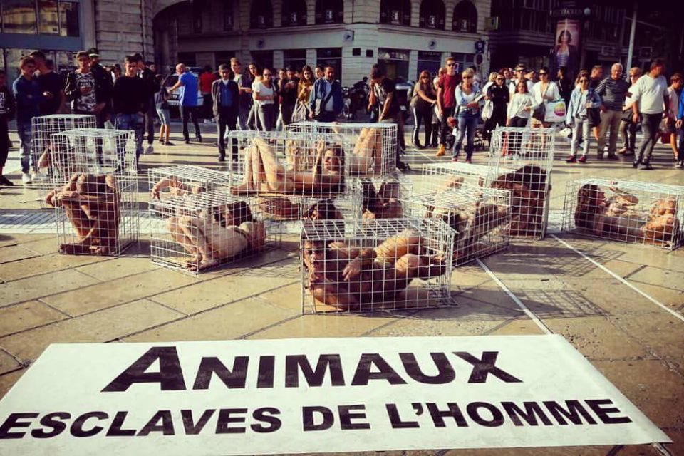 Contrairement à ce qu’elle affirme, la 🇫🇷 n’a jamais aboli l’esclavage. En 2026, les esclaves, ce sont les animaux auxquels la 🇫🇷 n’accorde aucun respect et qu’elle massacre !

<a href="/HenryJeanServat/">Henry-Jean Servat</a> 
<a href="/MaxGuazzini/">Max Guazzini</a> 
<a href="/LaurenceParisot/">Laurence Parisot</a> 
<a href="/SandraKrief/">Sandra Krief</a>