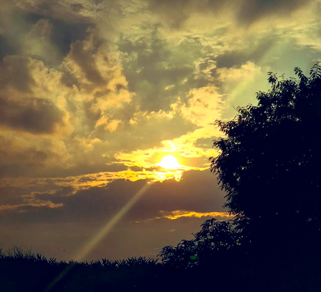 OnlyVibes2050's tweet image. #SunriseSaturday ✨
Every sunrise is a blessing! 
Grateful to be alive and kicking 🫶🏼