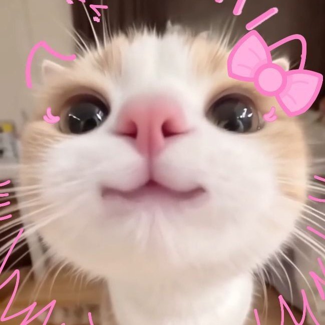 EngTheos's tweet image. #NewProfilePic