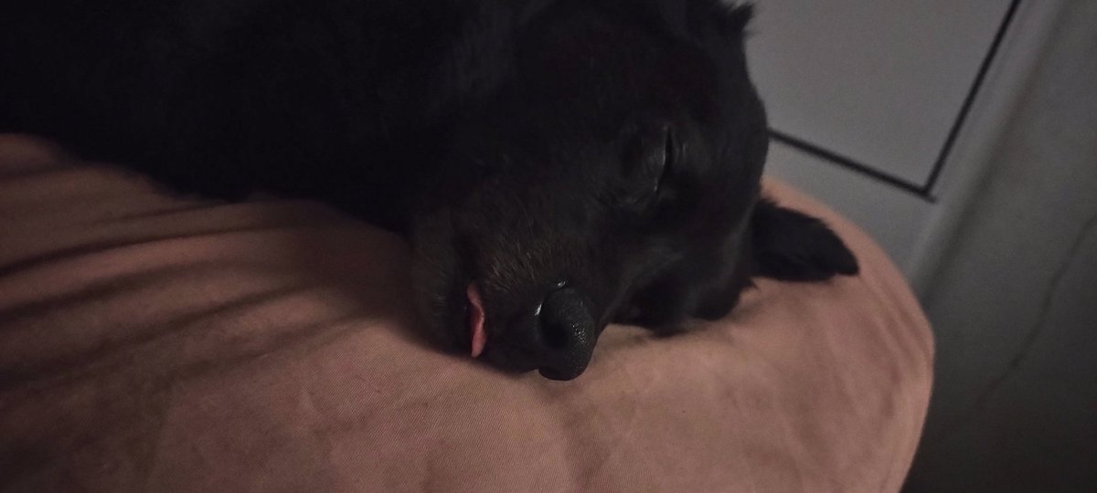 ithy loves bts 💜 tweet media