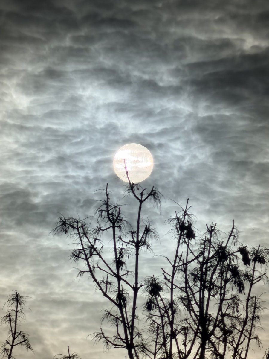 dliphotos's tweet image. Tonight’s moon makes me feel sad #PhotoBooth
