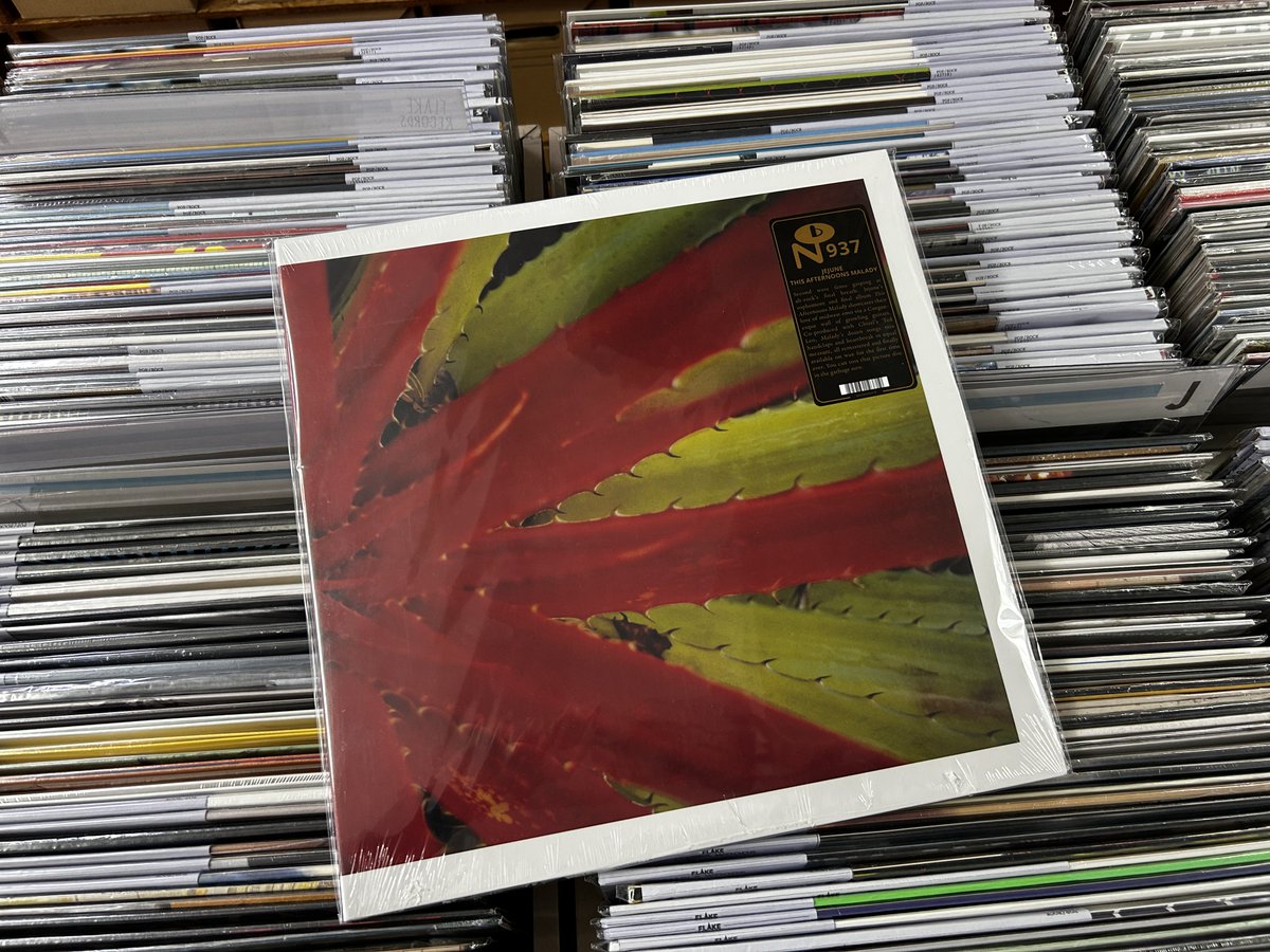 来日で湧いてます！ 90年代後半のEMOリバイバル最重要バンドの一つで