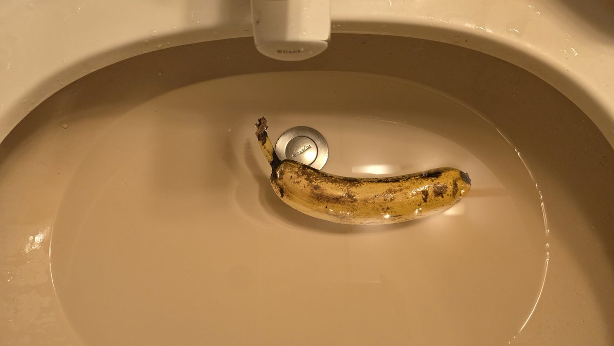 심심해서 물에 바나나 뜨는지 확인해본 후기: 진짜 뜸