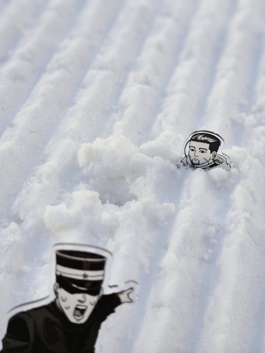 Brosama is eating snow