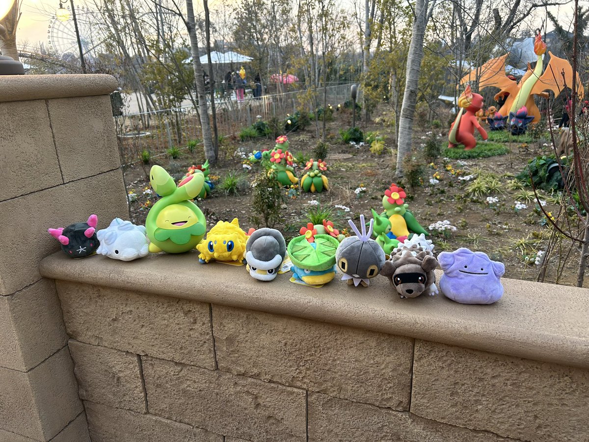 スボミーがうちの子たちを仲間に入れてくれた🌸