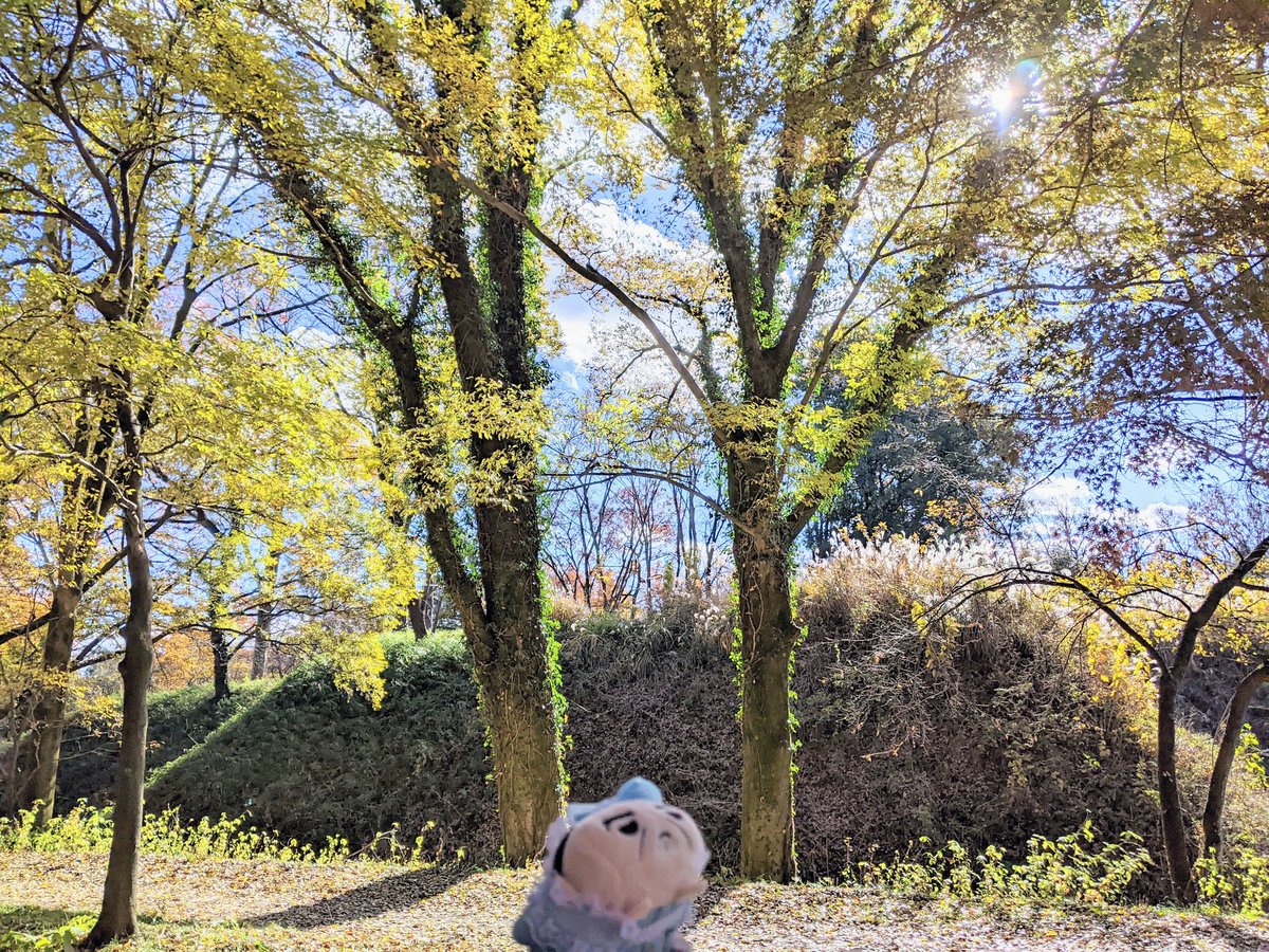 #世界に愛とのる島を
2024年12月　菅谷館跡