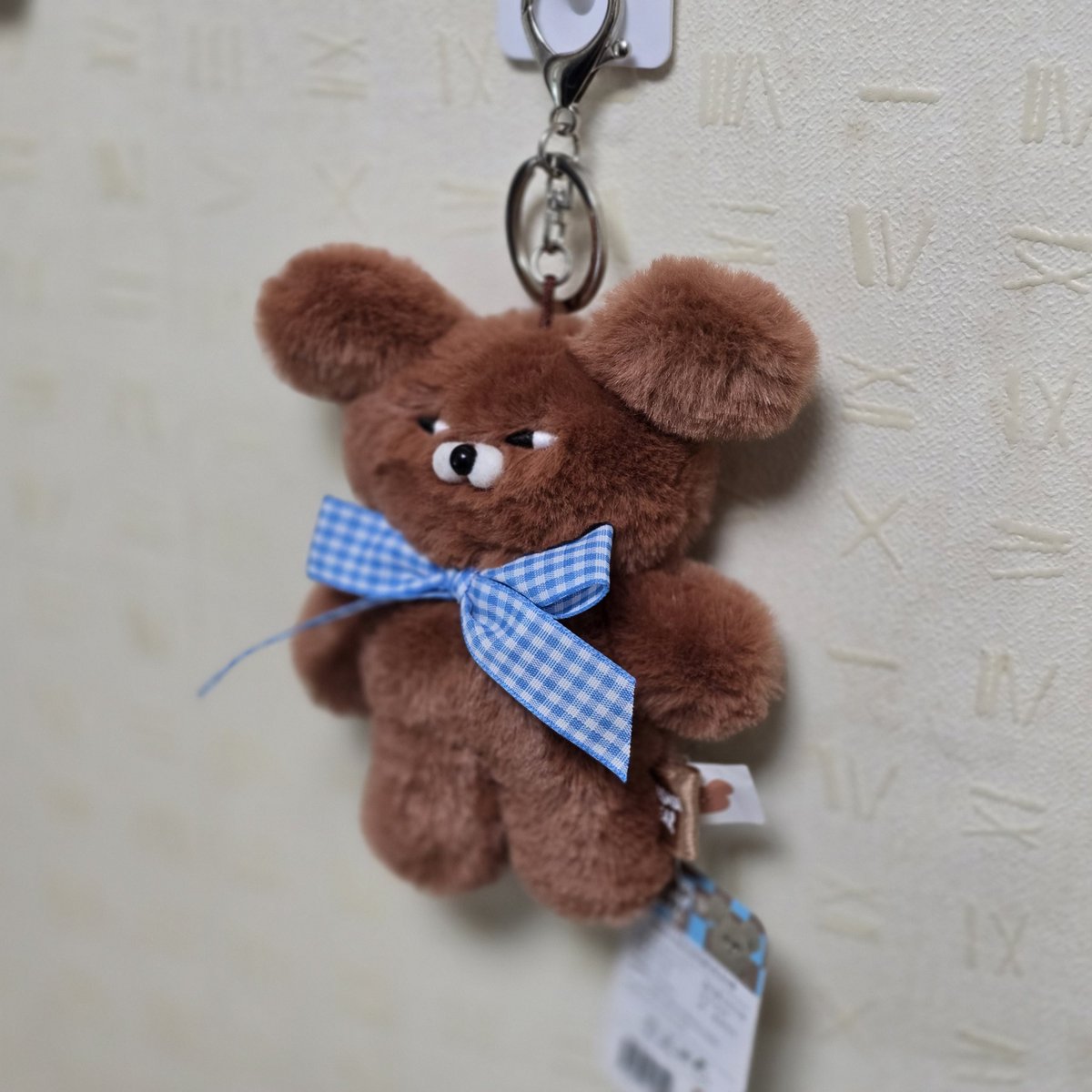 본가 오니 아빠방에 새로나온 범모가 똭