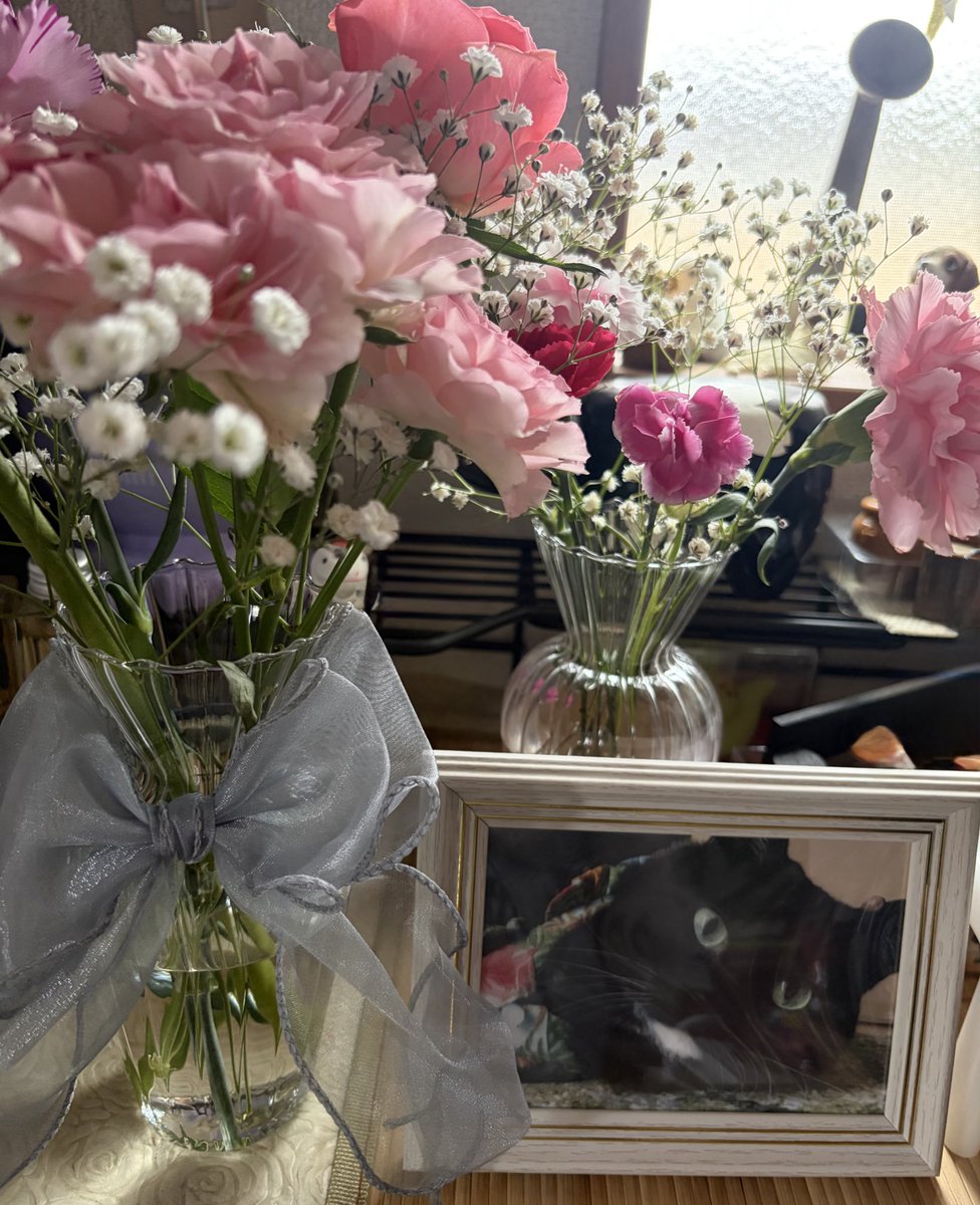 奈月@お取引の方はプロフ確認下さい。 tweet media