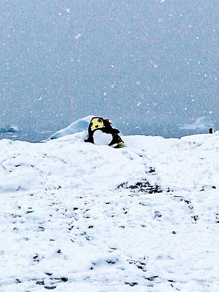 こなぁぁぉぉーゆきぃぃーねぇ♪
(。゜▽゜)

#雪