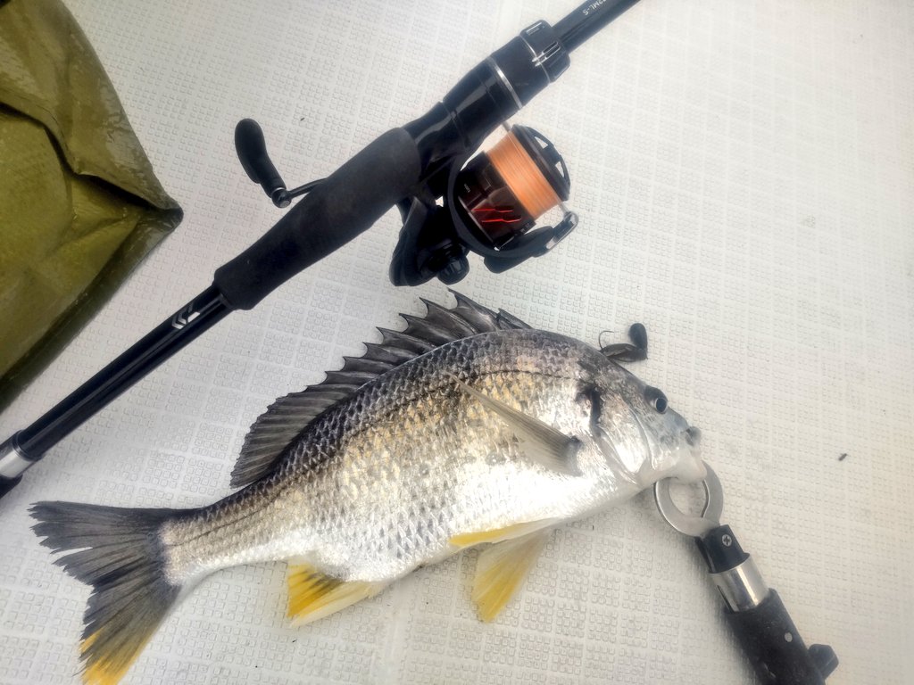 orange fishing boat🍊石﨑卓也 (@OrangeFishing) / Posts / X