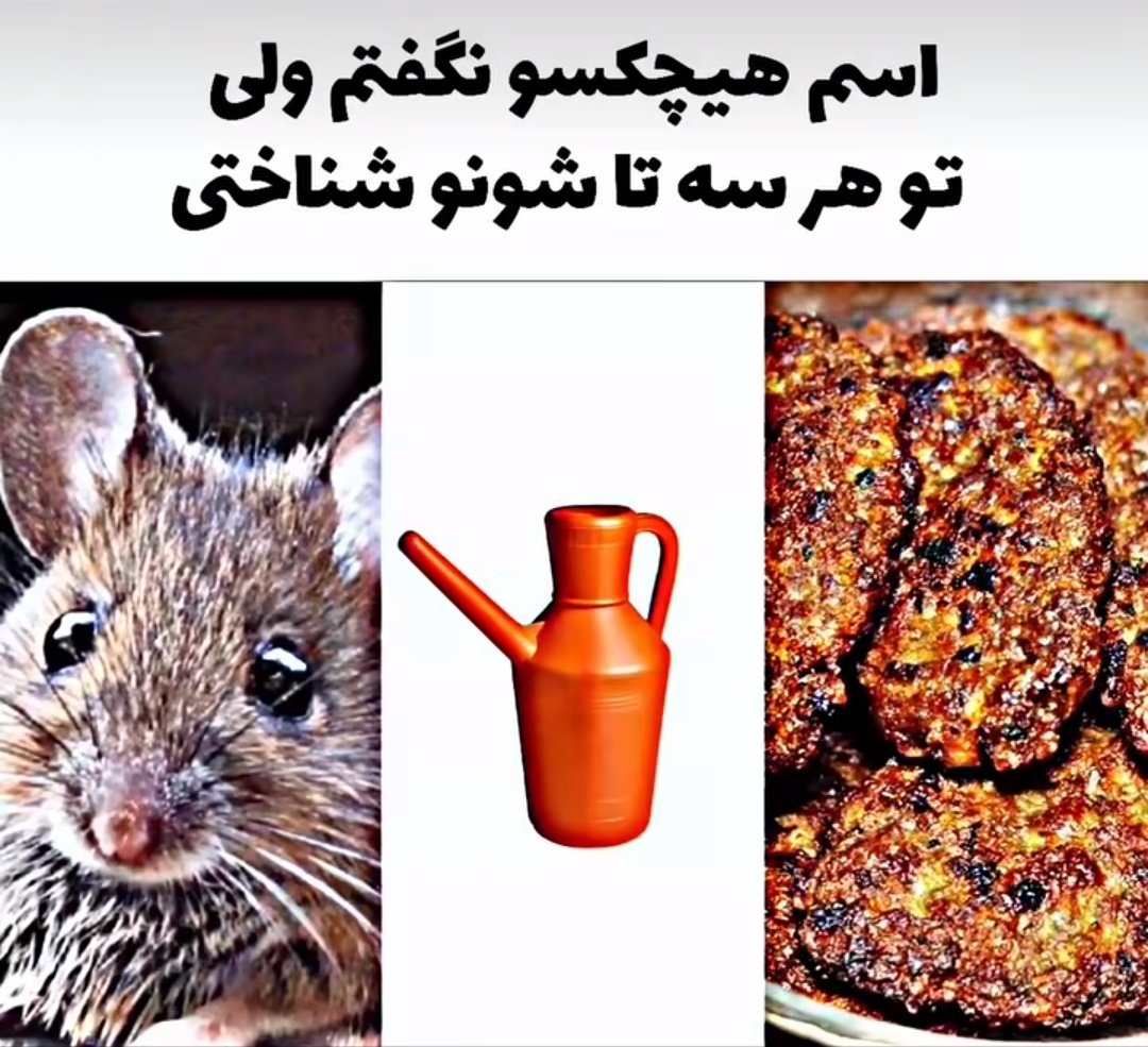 persian rap|پرشین رپ tweet media