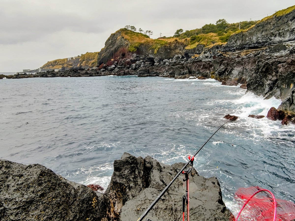 現着！
風はないけど雨が…☔️😹