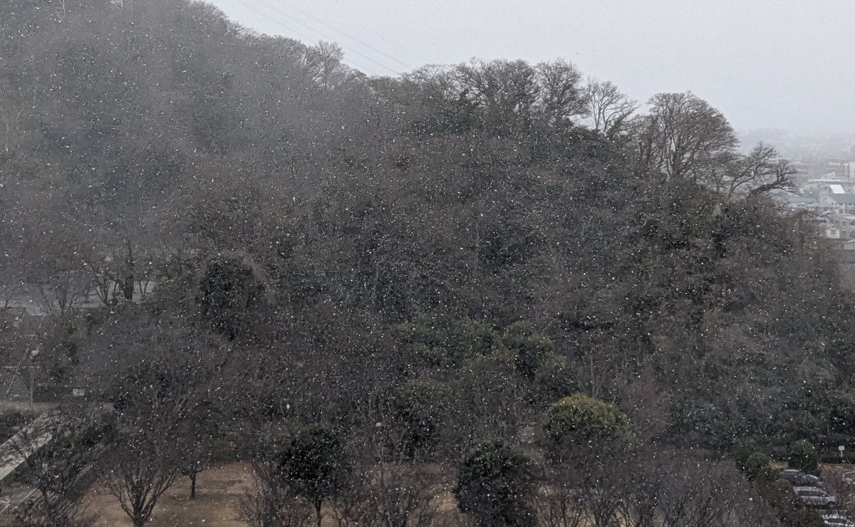 下雪啦！