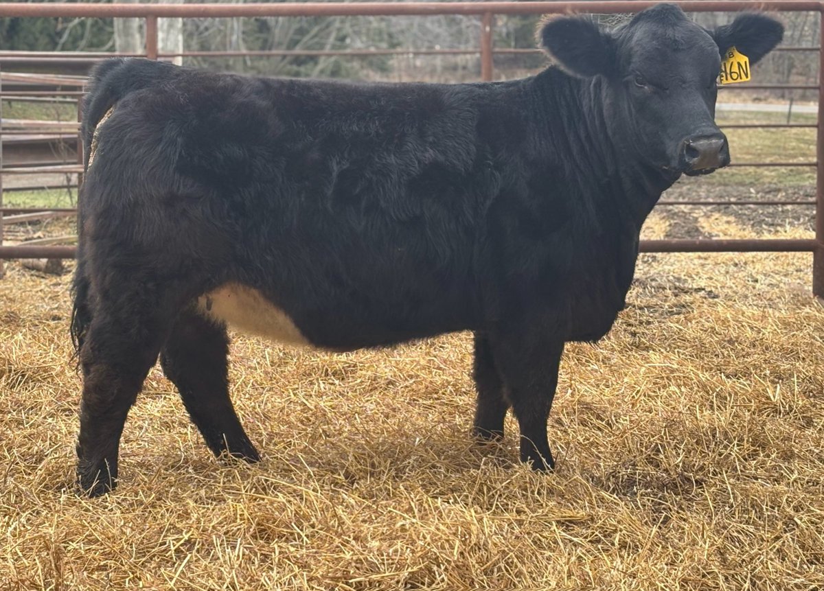 Cowboy Kade tweet media