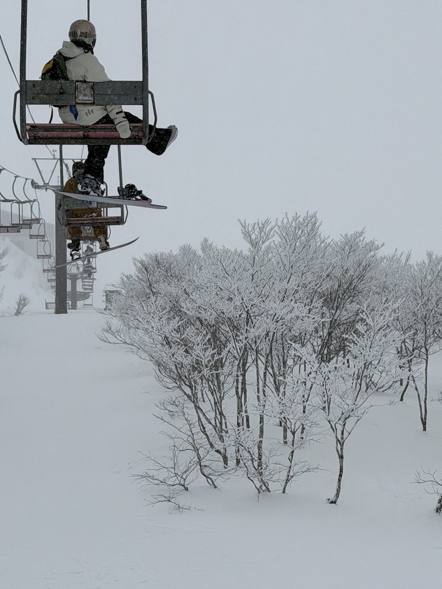 司鳳【ES_隆中閣】故事系VTuber tweet media