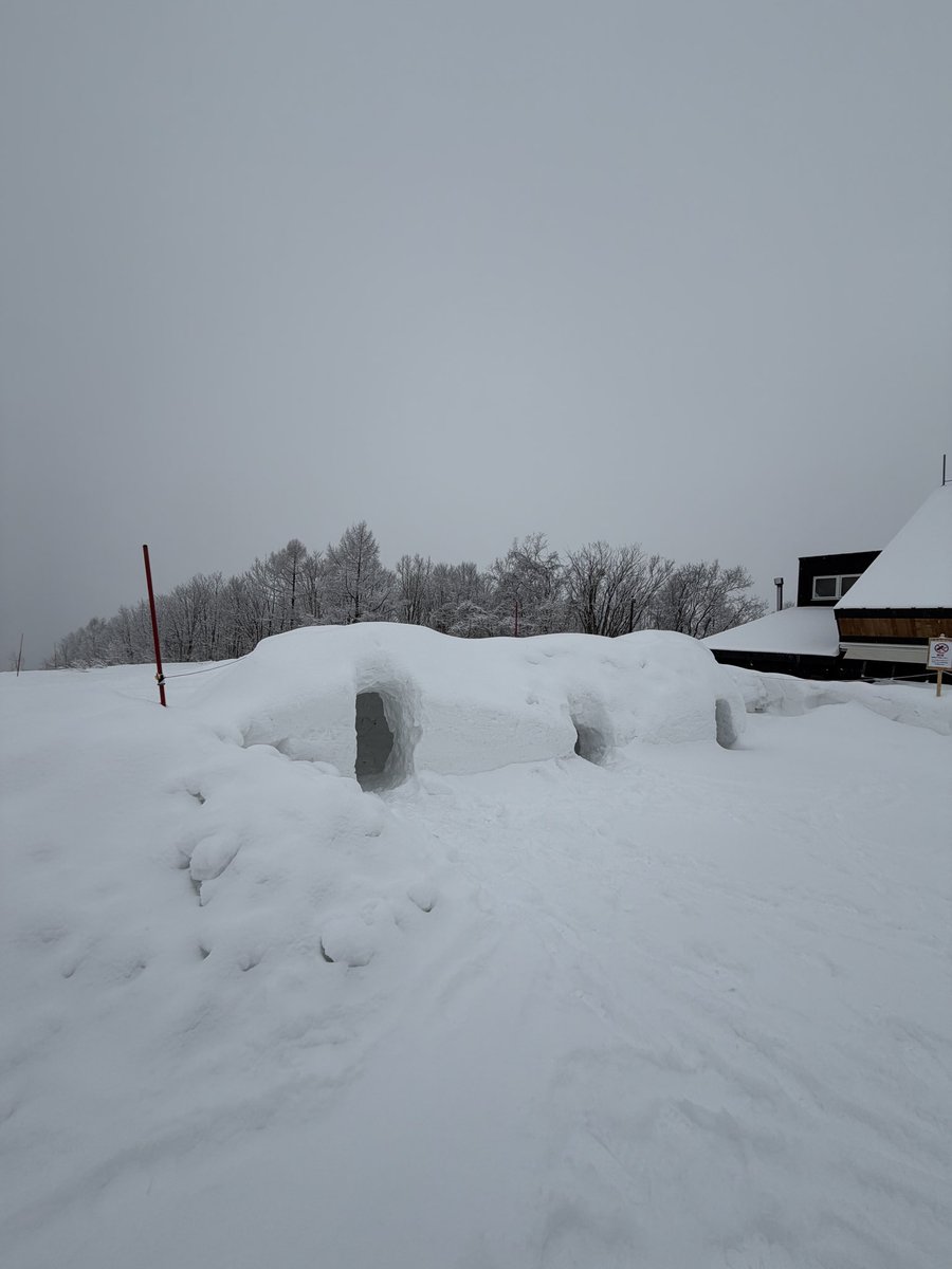 司鳳【ES_隆中閣】故事系VTuber tweet media