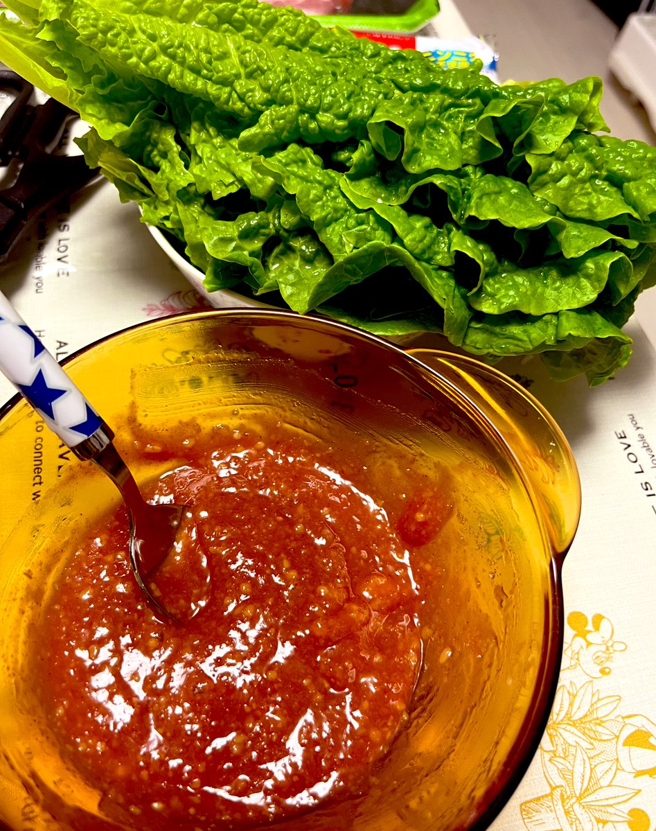 雪で寒いので
今日はおうちでサムギョプサルしてる

すきー