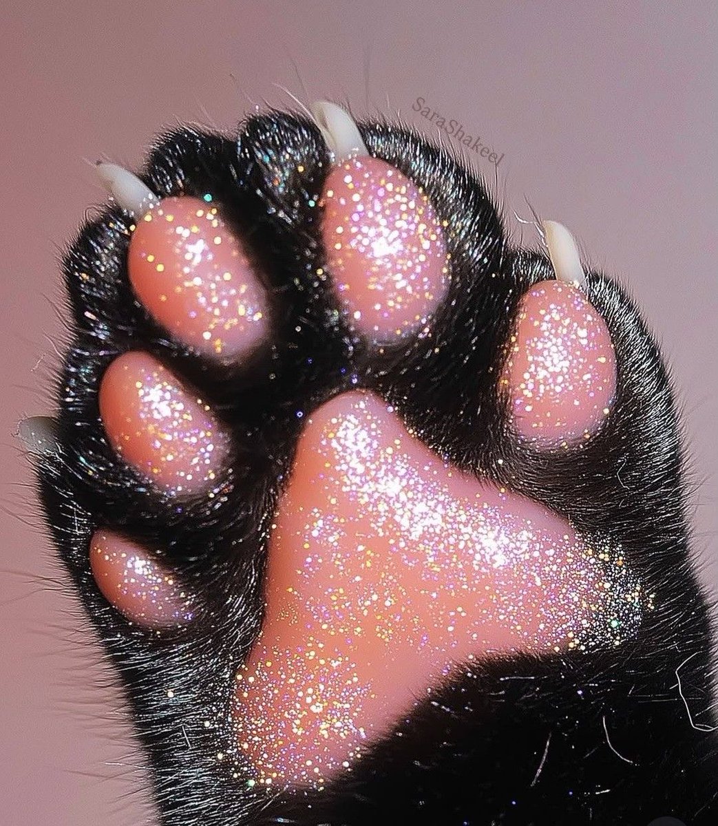 Twinkle_Vought's tweet image. @byte17_     @PrincessAlpine 

Omg, both of your little beans/feets  glittered ((Safe for pets!))