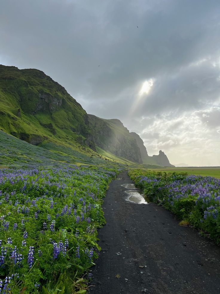 elemmiressoul's tweet image. Iceland.