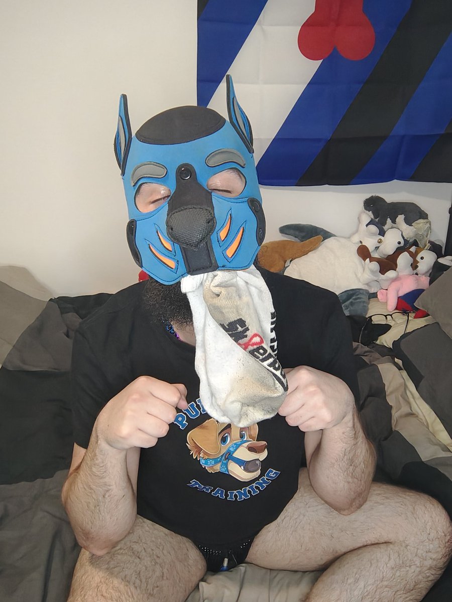 He's begging for more socks, will anyone help him ?