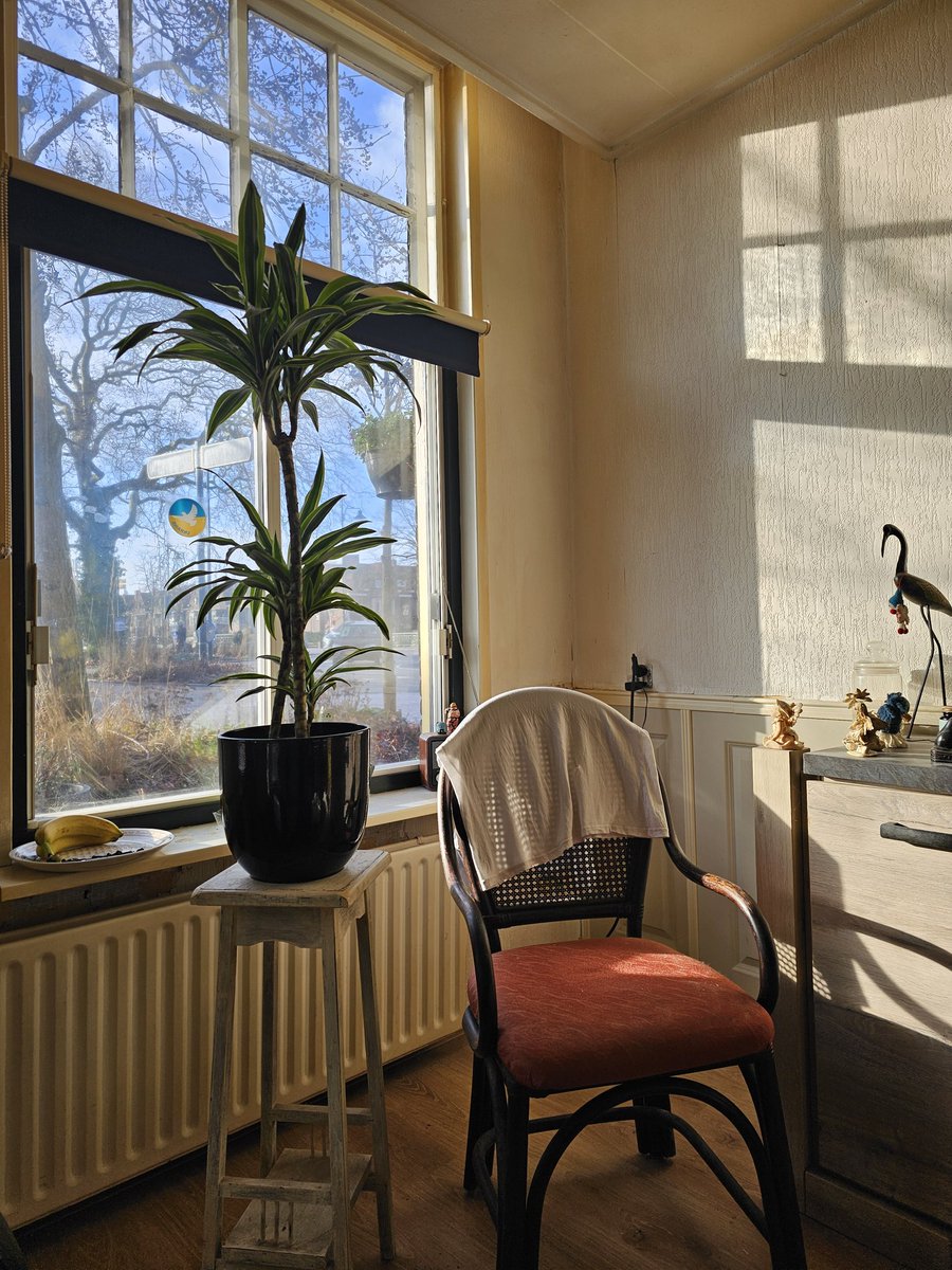 Mogge,  het 🌞 schijnt weer volop , het wordt vanmiddag 11grd , geniet hiervan .👍😎