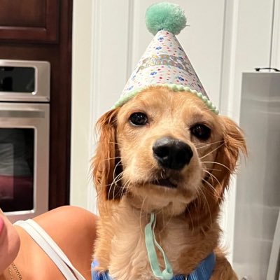 k9sluttty's tweet photo. #NewProfilePic https://t.co/LTf6QiBRs3