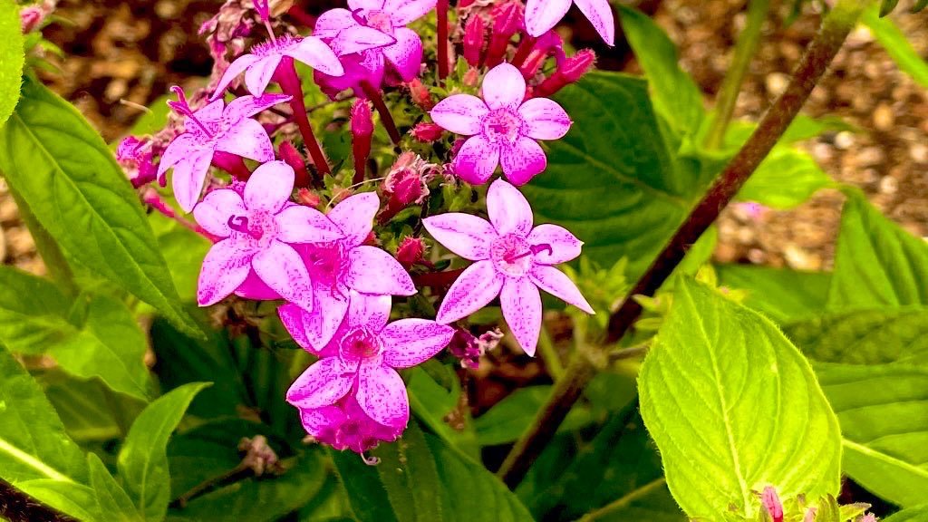 XNature246's tweet photo. .

.

虚しくて

理屈で愛を

探すのは

あなたを求め

ほら愛がそこ

.

.
短歌 https://t.co/LuYS4oF8X8