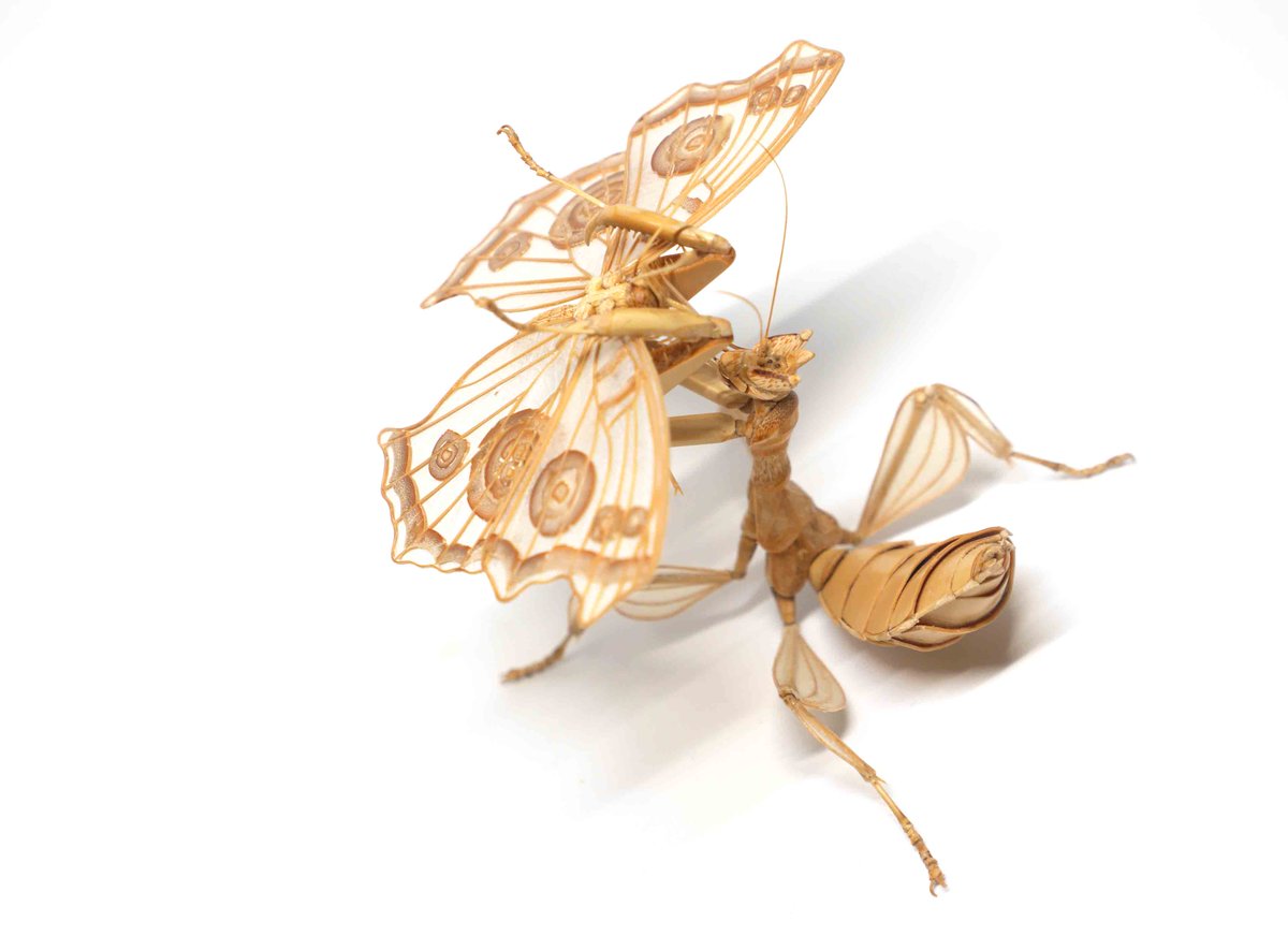 齋藤 徳幸 BAMBOO INSECTS 昆虫竹細工 (@noriji_s) / Posts / X
