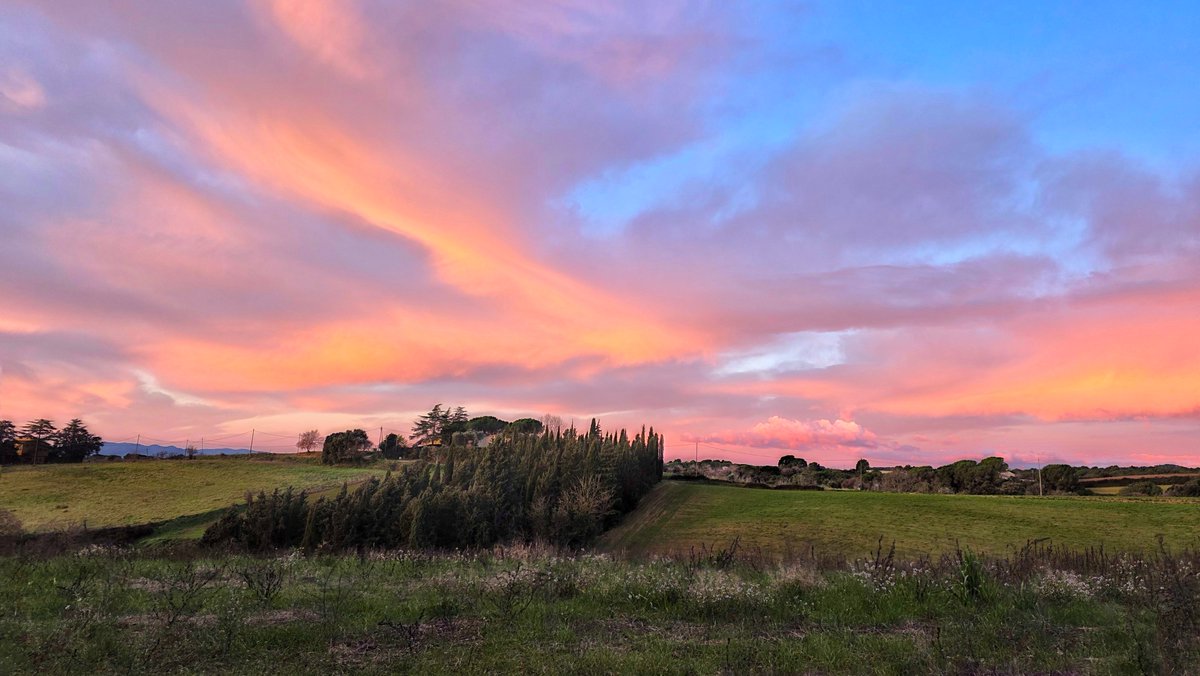 Jordi Rodoreda Rosàs tweet media