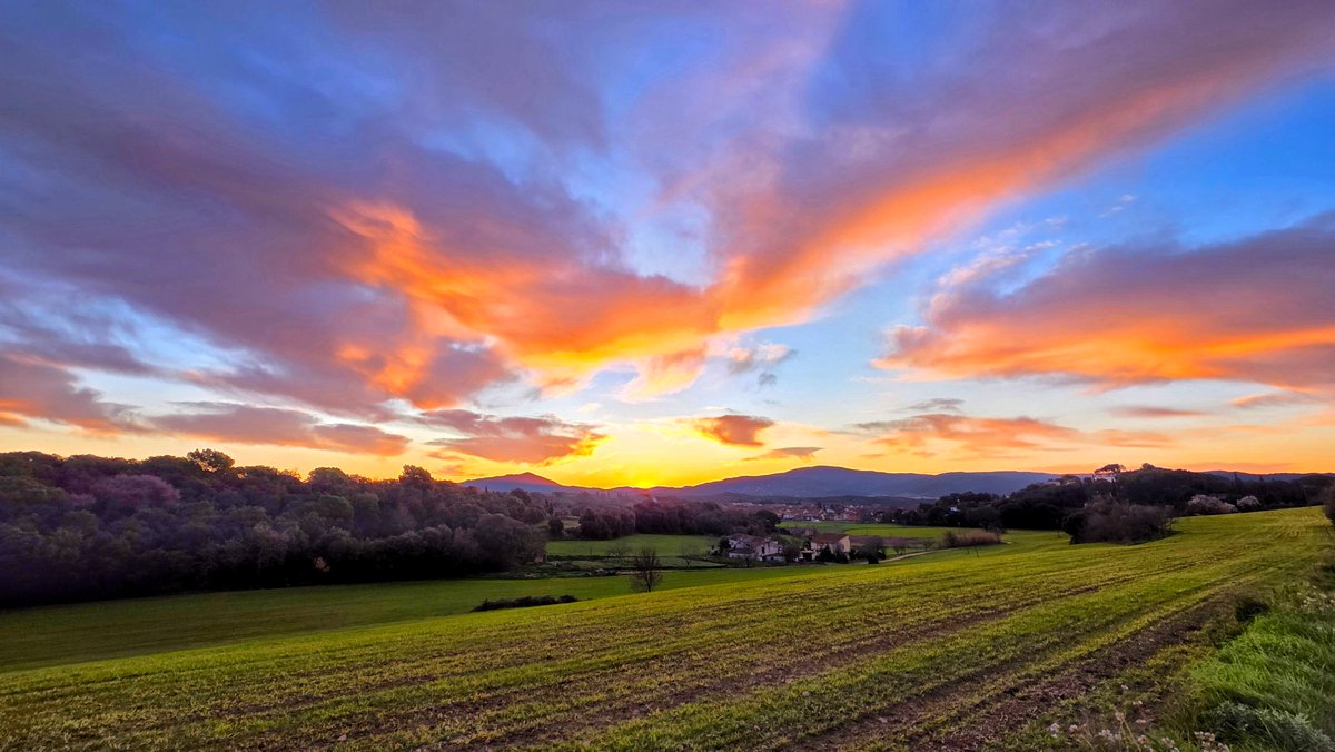 Jordi Rodoreda Rosàs tweet media