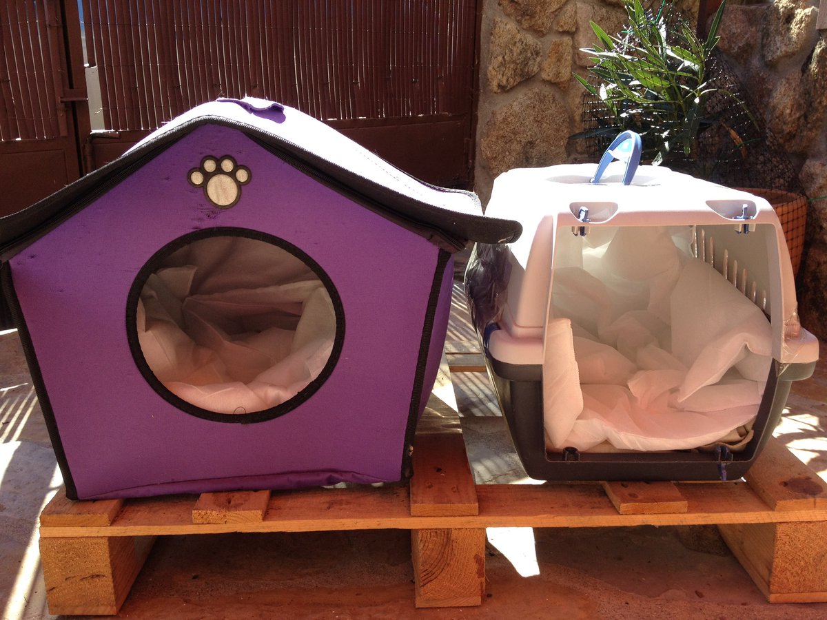Otoño 2016
Empezaba a hacer frio por las noches y me preocupaban los gatitos, estos son los primeros refugios que les preparé

#hechoamano #catlover #regalosoriginales #regalopersonalizado