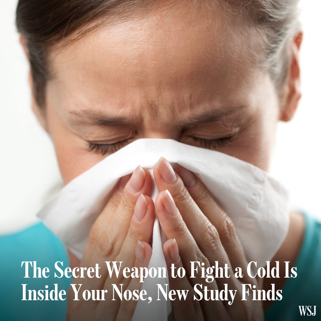 Top Gun maniac (@topgunmaniac) / Posts / X