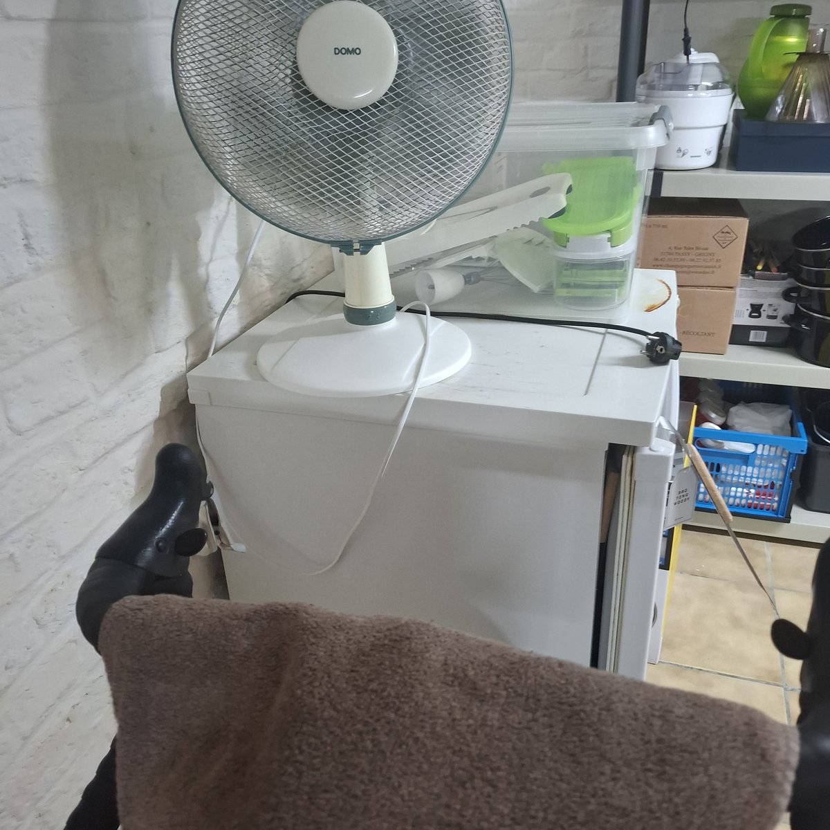 Fietsen op de rollen wegens Bouwbeurs Roeselare straks. Zwaardere training gedaan, met meer tegenwind, ventilator op 3 gezet.