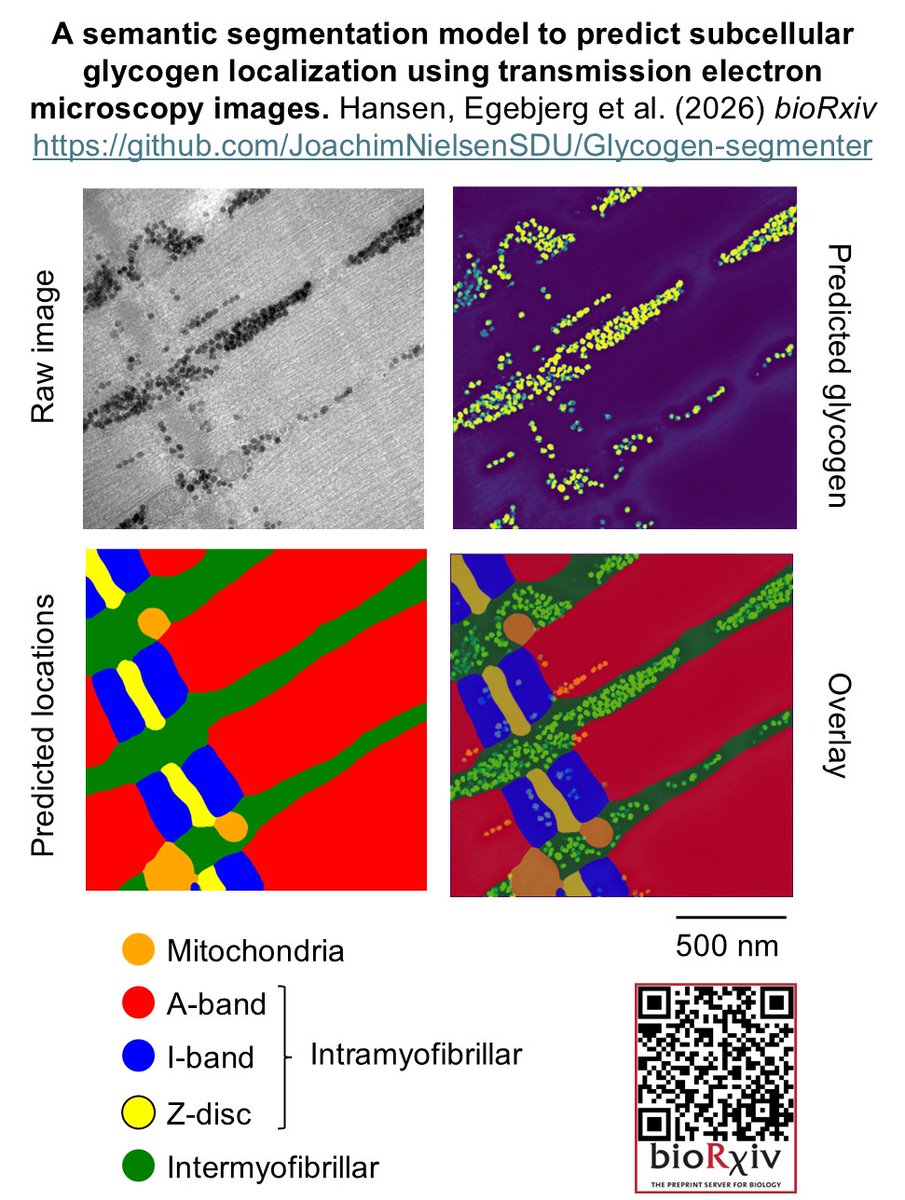 Joachim Nielsen tweet media