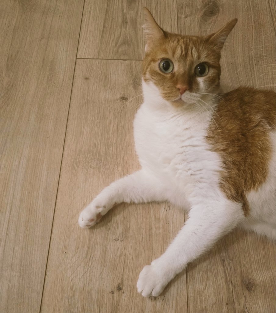 Benny Touzine tweet media