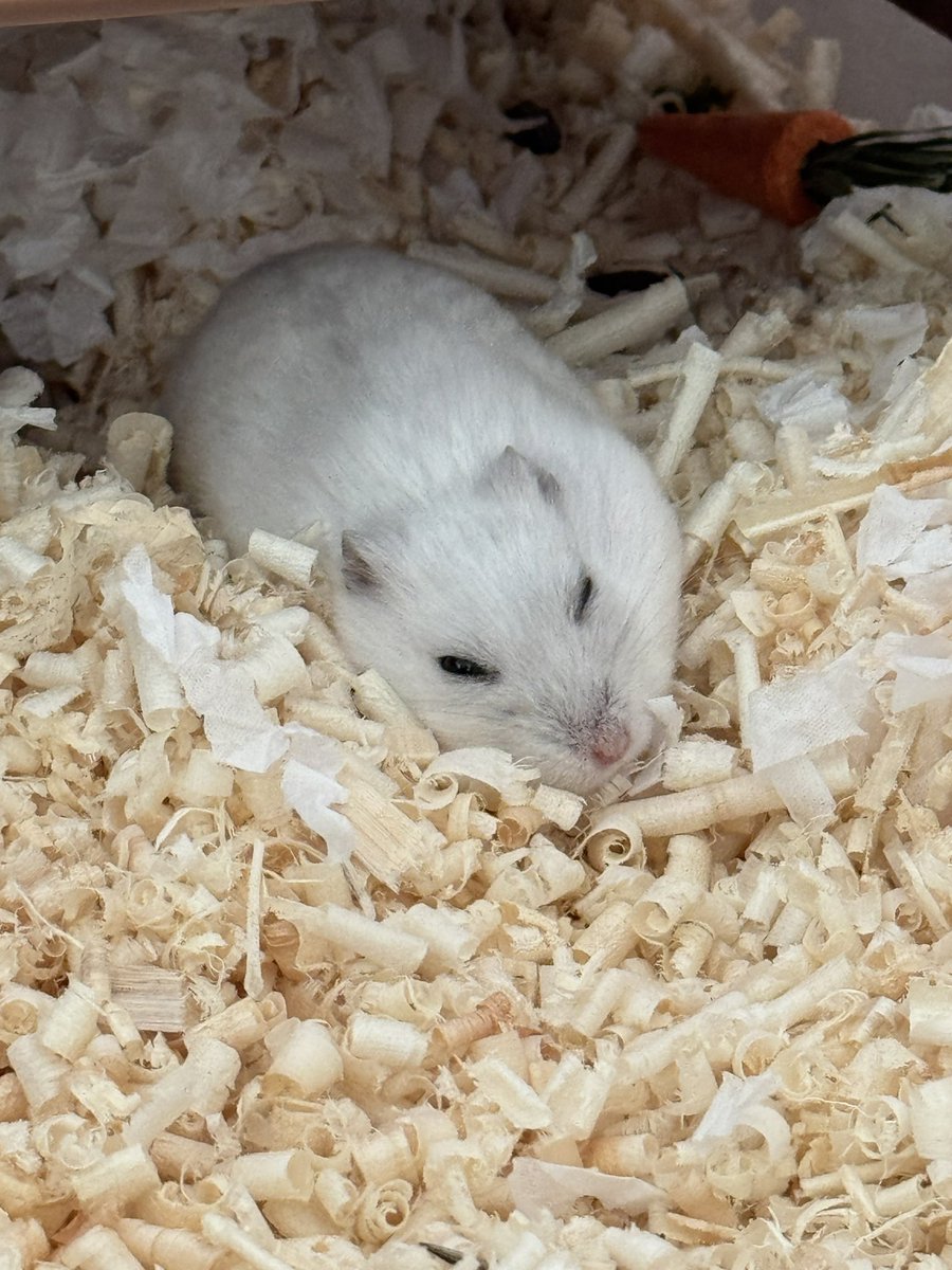 언니 청소하는와중 꿀잠자기