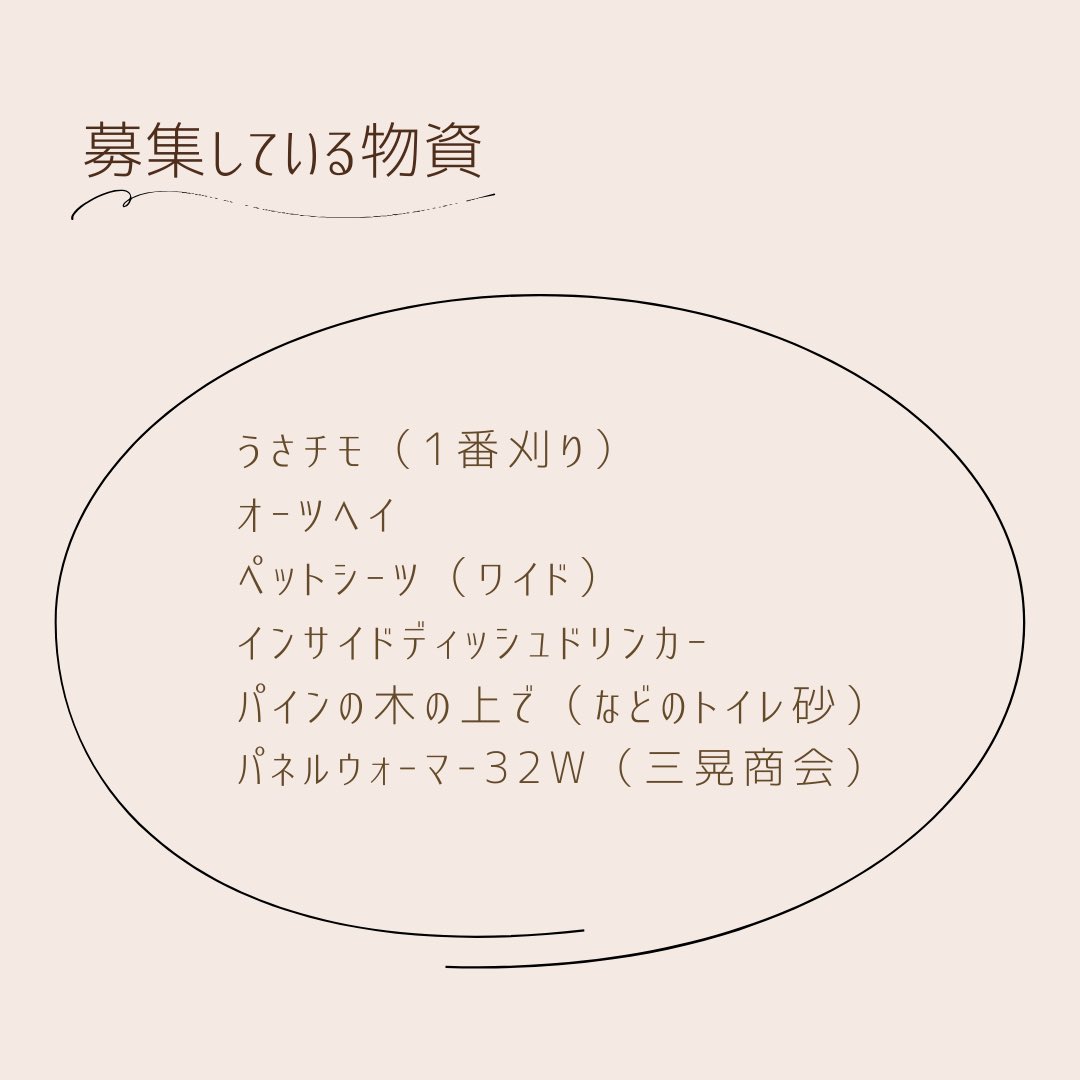 st_rabbits's tweet photo. 現在募集している
物資とご支援のおねがいです( .. )♡
物資の送り先住所、
はホームページに記載しております。
⁡
寄付は口座振込、クレジットカードからの寄付などお選びいただけます。また継続支援「マンスリーサポーター」も募集しています。

https://t.co/SNfVqZ2f0i https://t.co/irAdO1hW0k