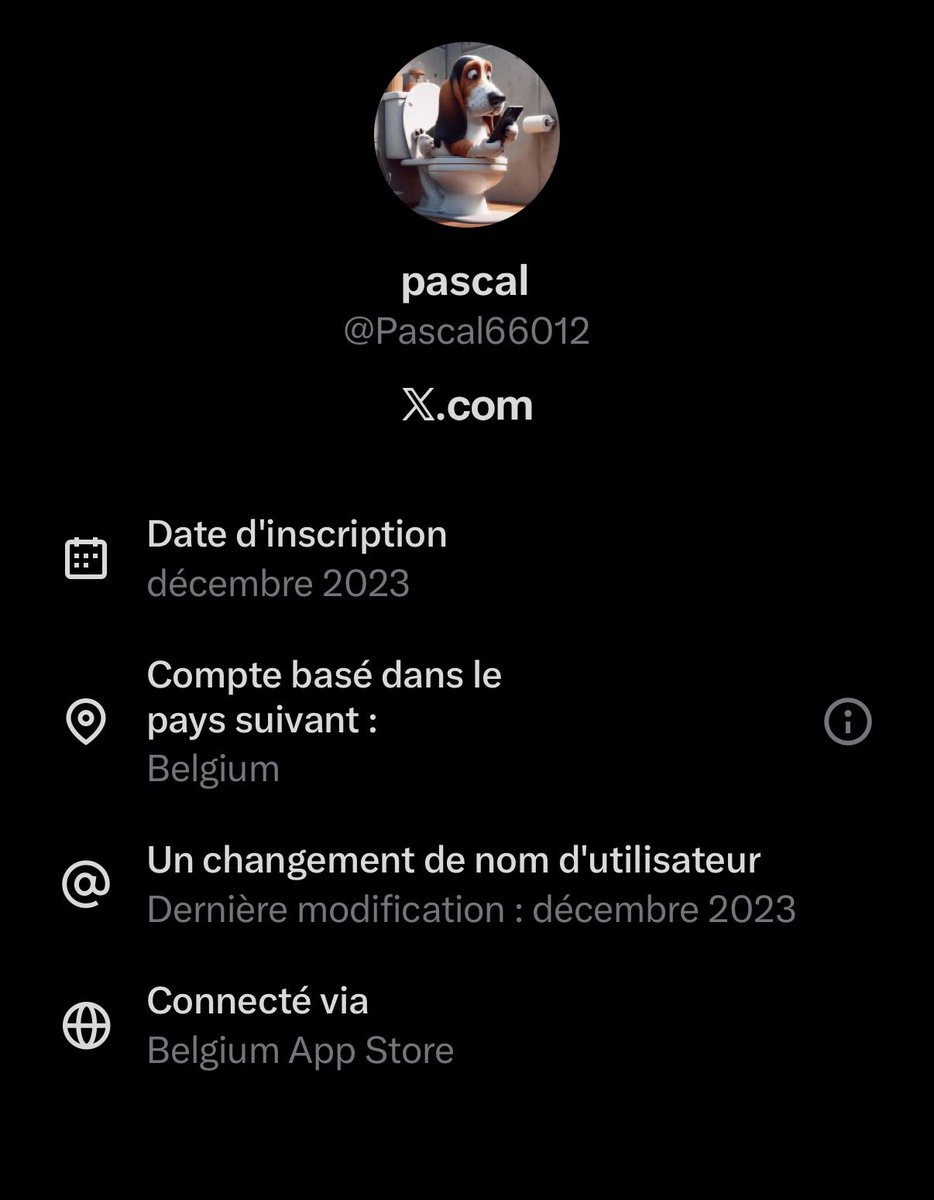 Pascal66012's tweet image. On clique là et on a des surprises sur la provenance des comptes ‘X’ 😏😜