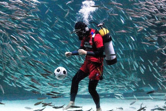 Grassroots football today ⚽️ <a href="/StapenhillFC1/">𝙎𝙩𝙖𝙥𝙚𝙣𝙝𝙞𝙡𝙡 𝙁𝘾 ⚽️</a>