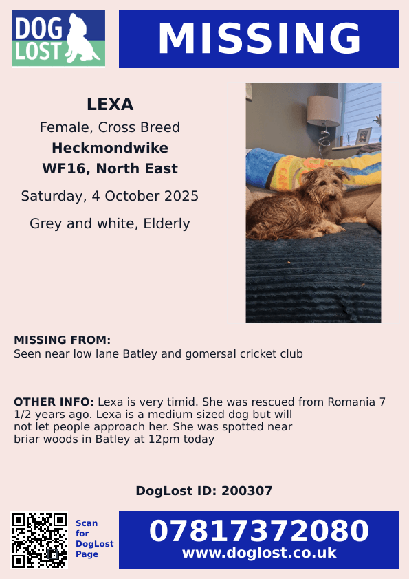 MissingPetsGB's tweet photo. LEXA has been missing for nearly four months &amp; her family miss her deeply.

⚠️ Please do not chase or call her if seen

Missing from Heckmondwike / Batley area, West Yorkshire Since 4 October 2025

Lexa may be sheltering quietly or may have been taken in. https://t.co/kNIj5Us2OD