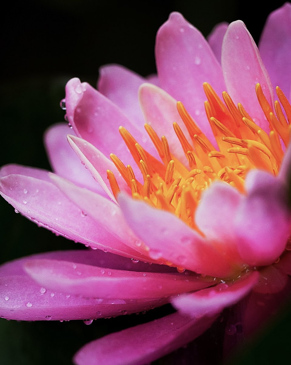 かずりん📸 (@kazrin_tw) / Posts / X