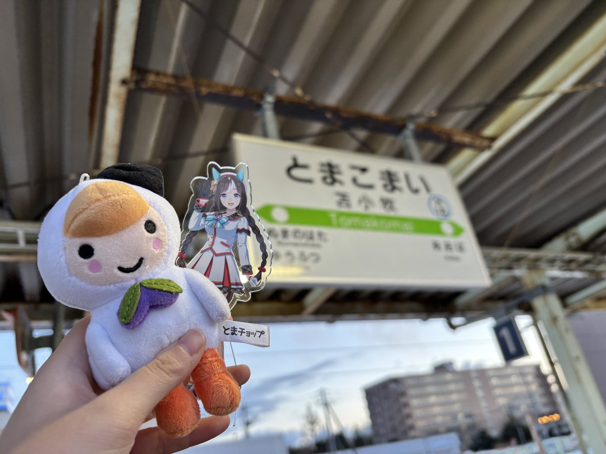 Post by ちゃんこ🍲 on X: ここは、、、、