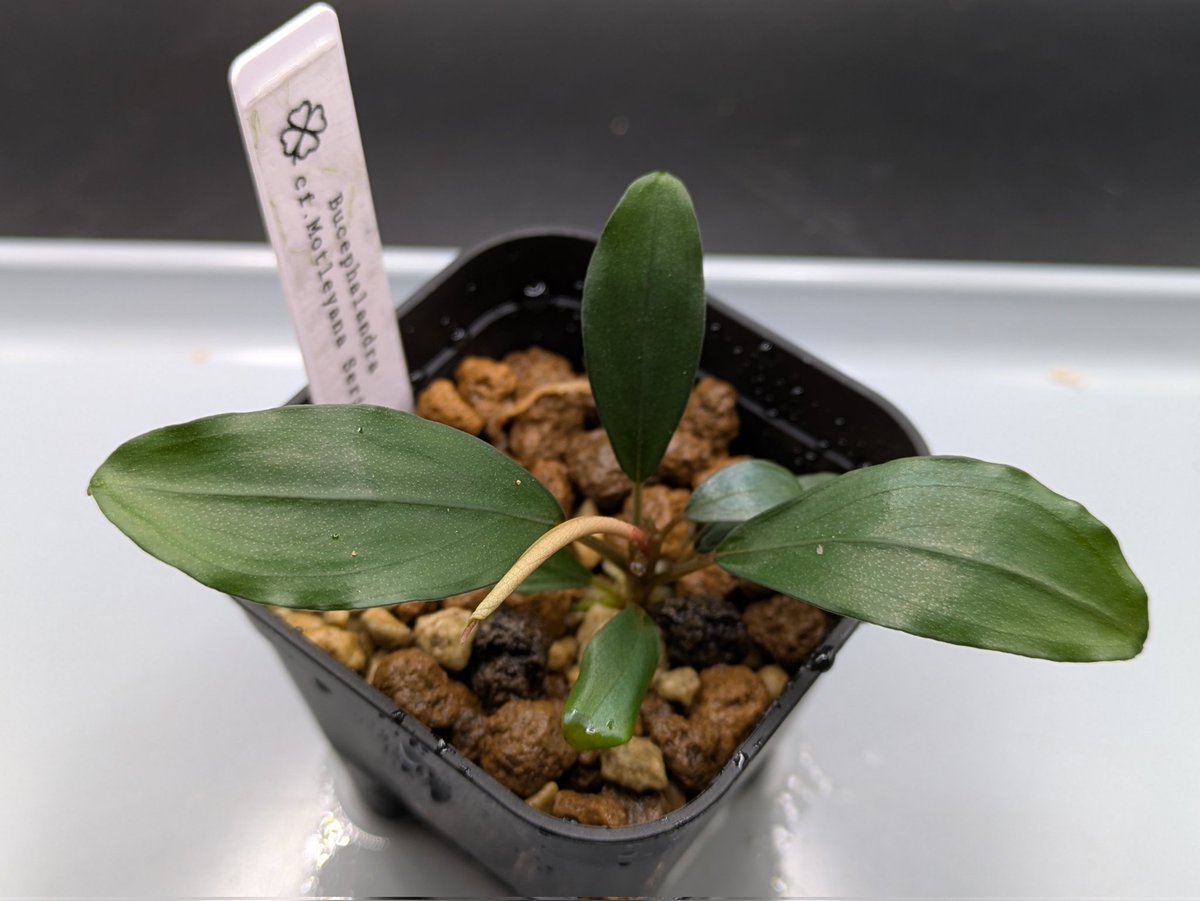 Kei@ (@keiponaQua) / Posts / X